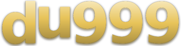 du999 logo